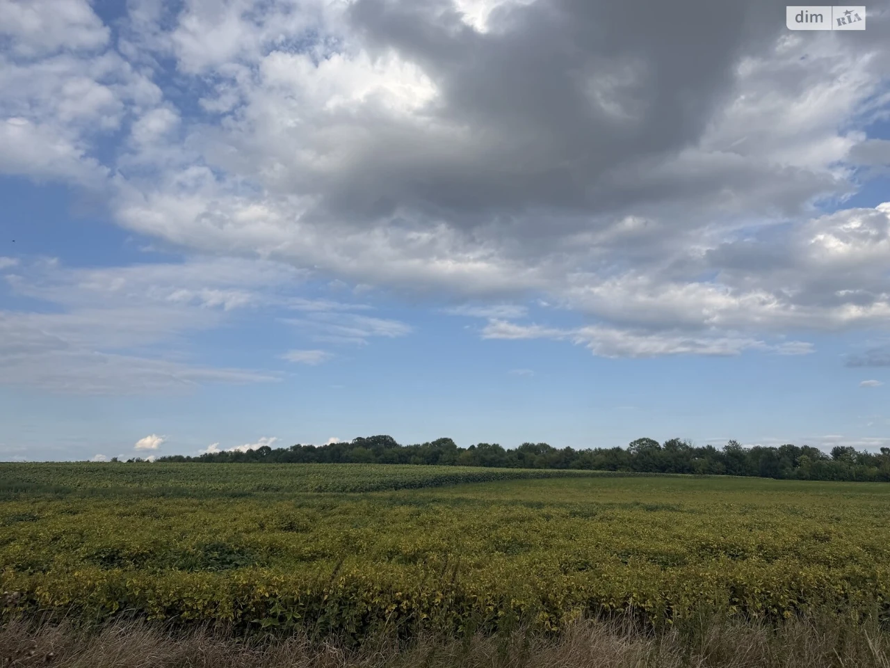 Agricultural land for sale