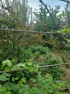I will sell a house in Verkhnyaya Khortytsa, Blizhniy lane