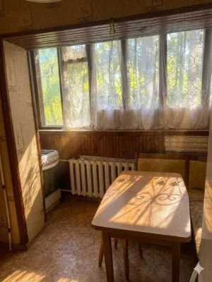 1-room apartment for sale 26.3 m², Lukyanivska, 7