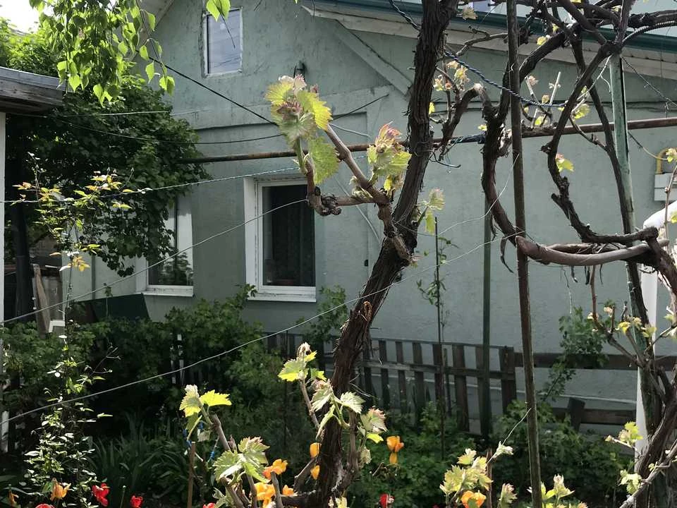 Будинок. Одеса, Академіка Вернадського вул.
