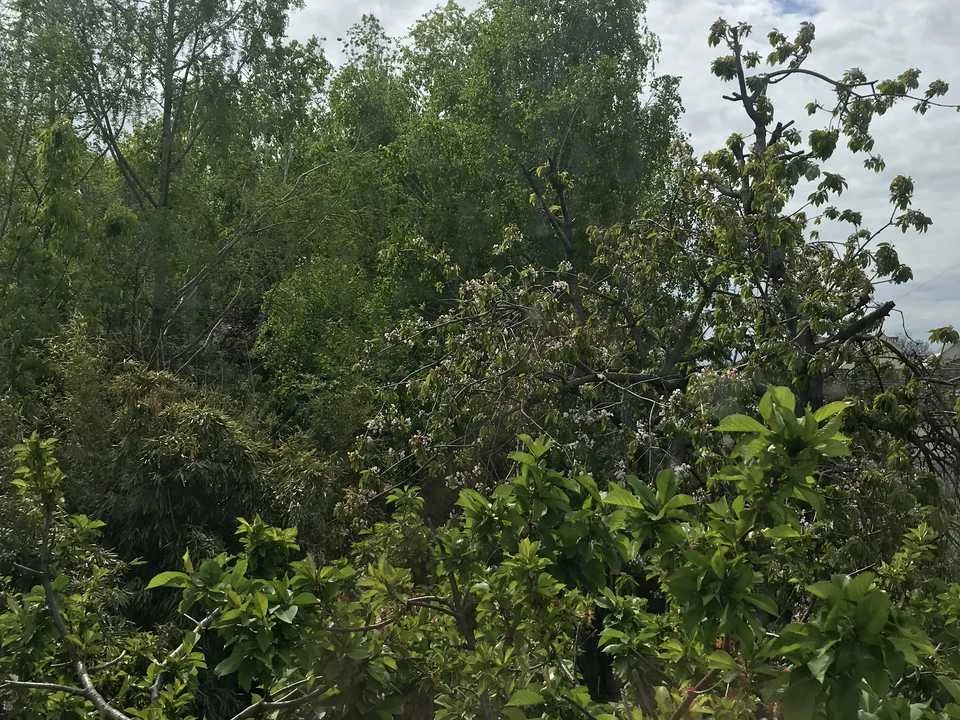 Будинок. Одеса, Академіка Вернадського вул.