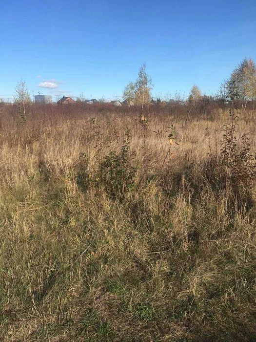 (3) Продам ділянку в Тяжилові 0691