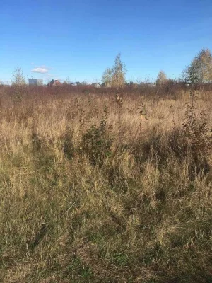(3) Продам ділянку в Тяжилові 0691