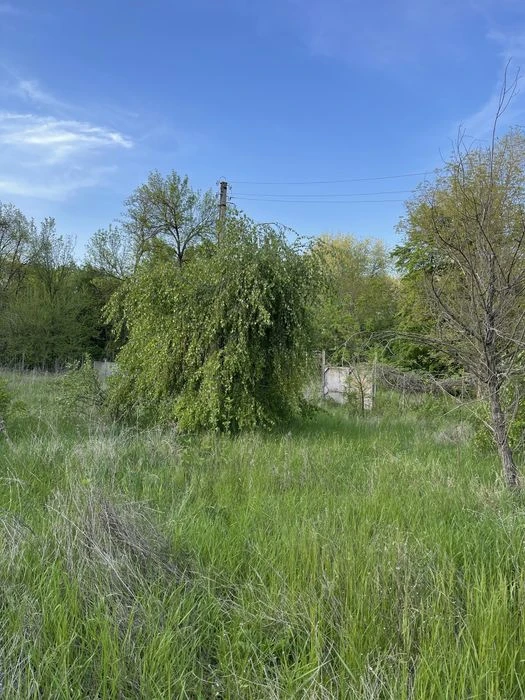 Cottage in a protected area