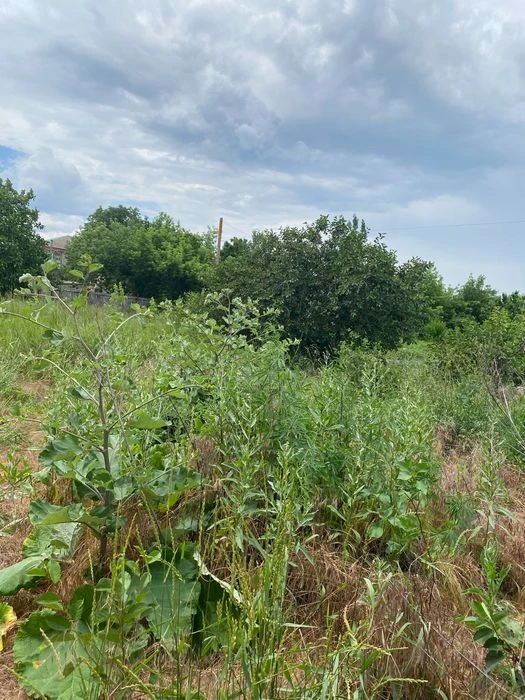 House for sale with a plot in the village of Zatyshsha