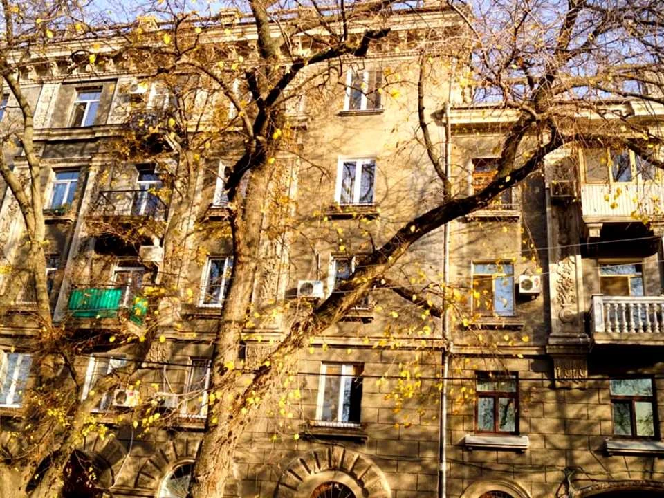 Квартира. Одесса, ул.