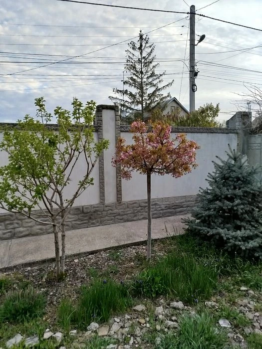 Дом в районе пос. Котовского, от хозяина