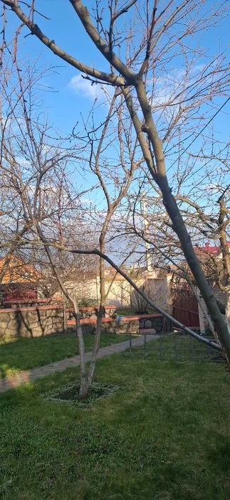 (3) Beautiful house for sale in Pyatnychany 4432
