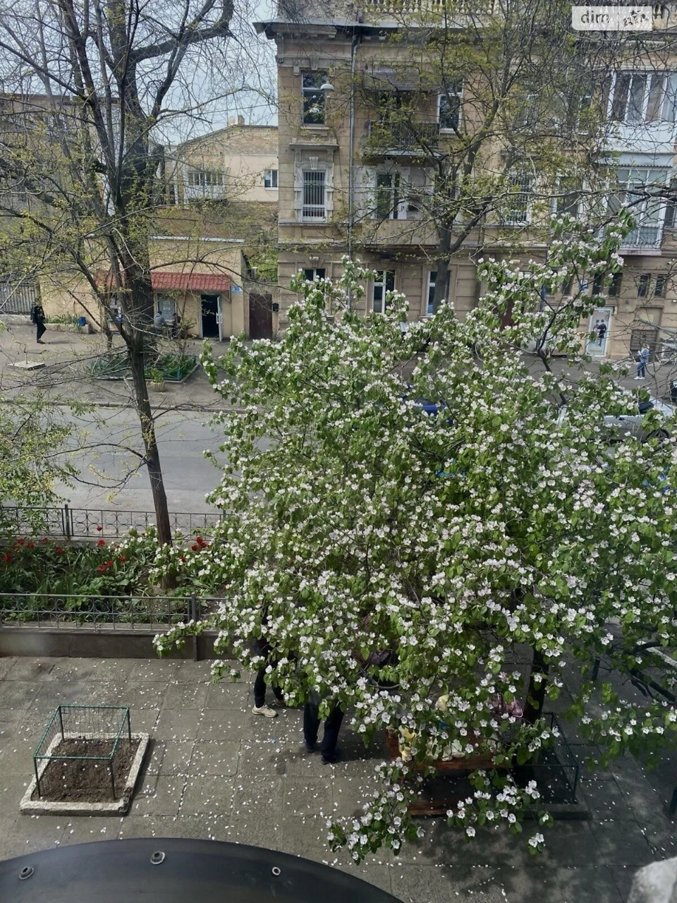 Room for sale Center