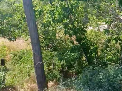 Plot. Zaporizhzhia,