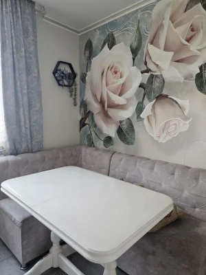 Selling a 2-bedroom apartment in N. Domakh.