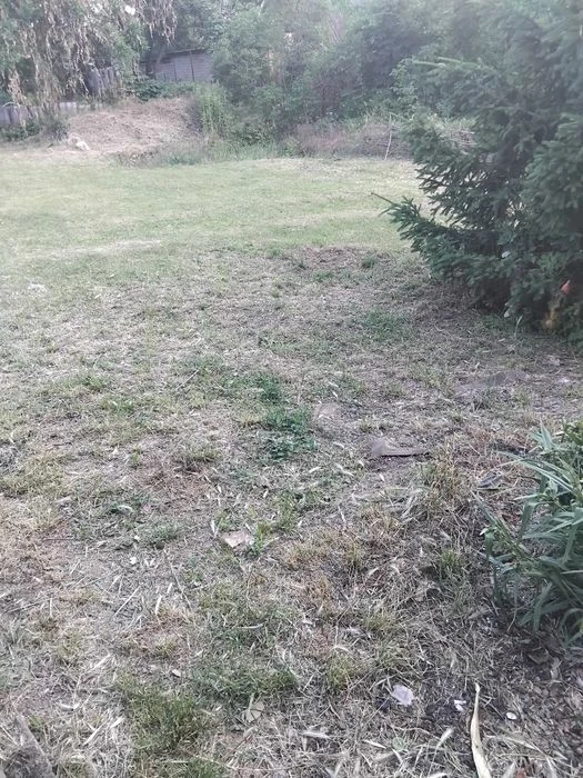 House (cottage) Velikiy Lug for sale