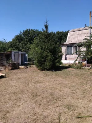 House (cottage) Velikiy Lug for sale