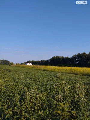 Продаж Ділянка під житлову забудову Тяжилів