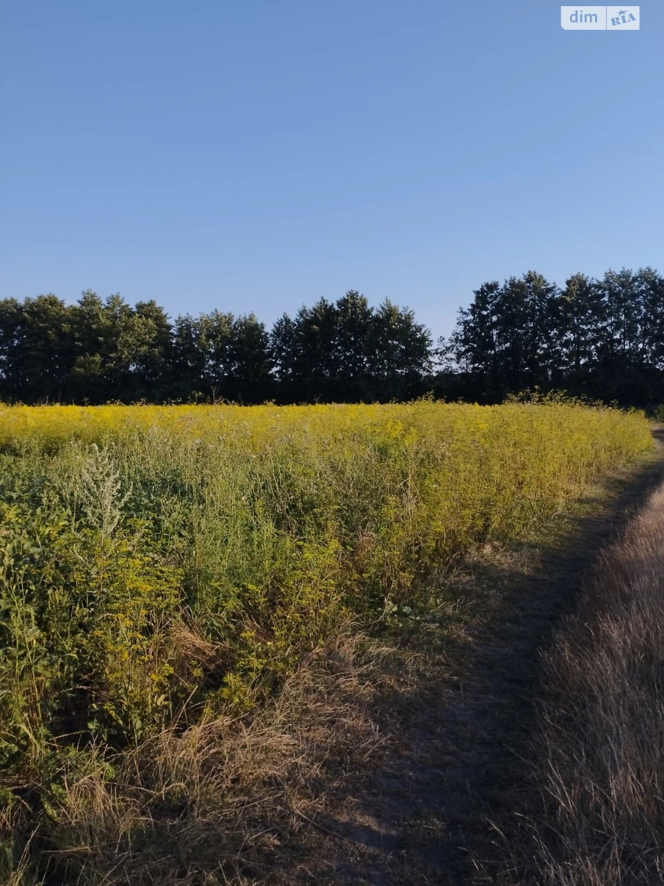 Продаж Ділянка під житлову забудову Тяжилів