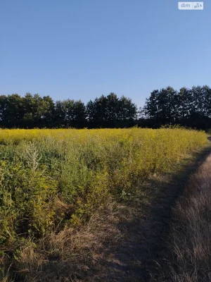 Продаж Ділянка під житлову забудову Тяжилів
