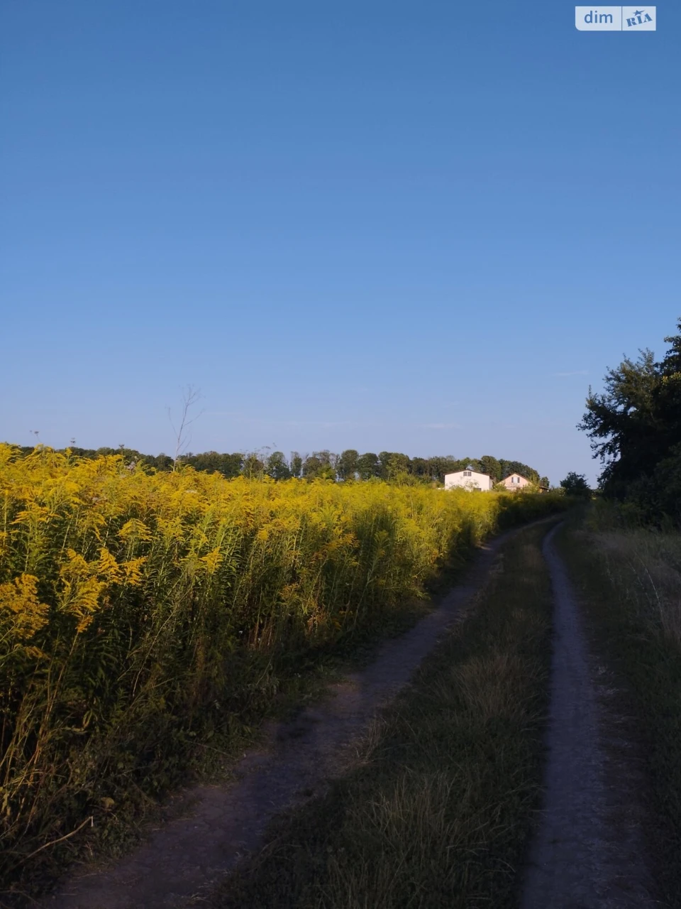 Продаж Ділянка під житлову забудову Тяжилів