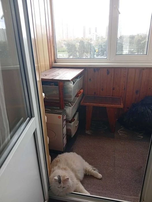 3-room apartment 7 minutes walk from the metro