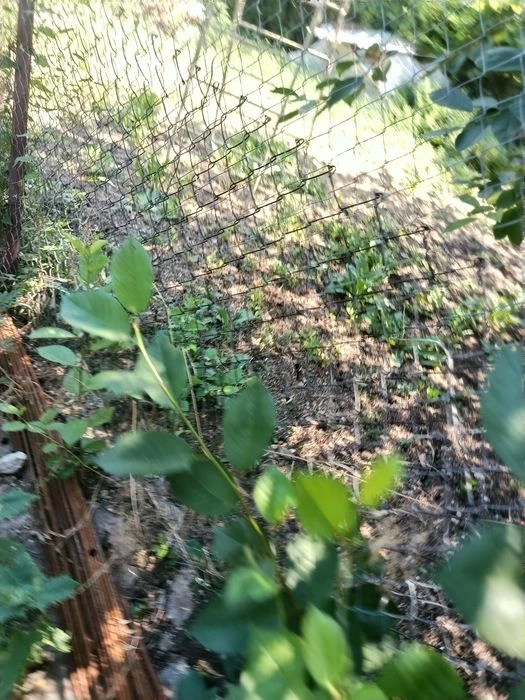 I will sell a privatized plot of 8 acres. + unfinished 160 m²