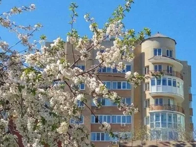 1-комнатная квартира, ЖК "Испанский", 480111