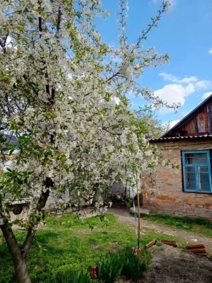 Продам частину будинку в Полтаві.