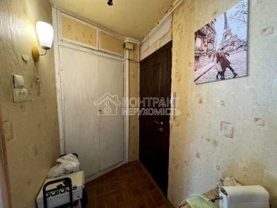 Apartment. Kharkiv, Valentynivska St. (Blyukhera)