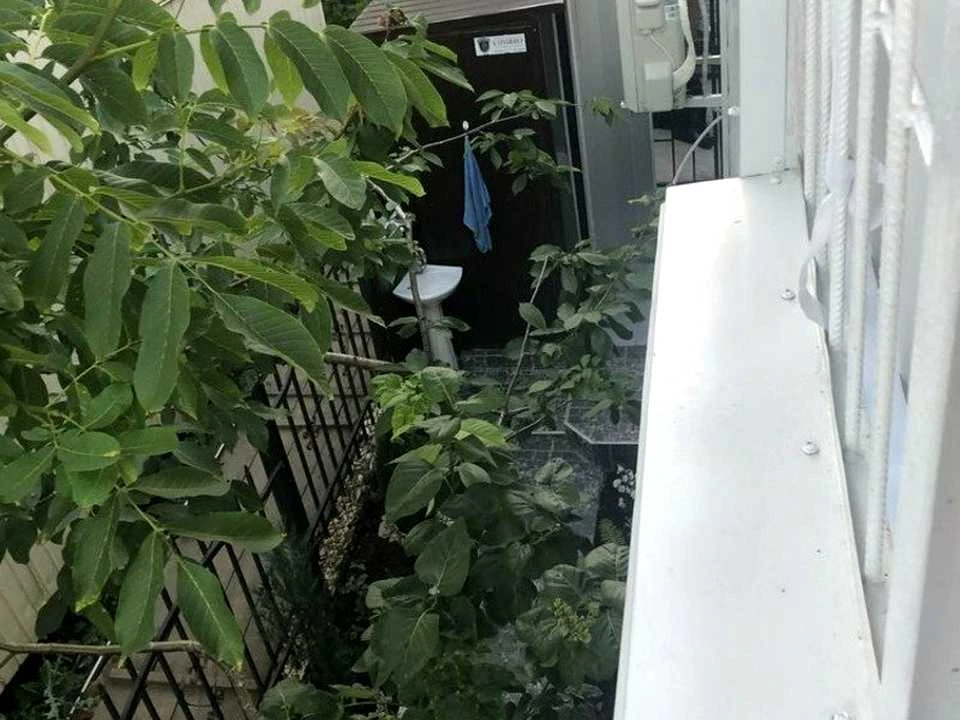 Будинок. Одеса, Дача Ковалевського вул.