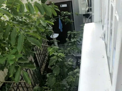 Будинок. Одеса, Дача Ковалевського вул.