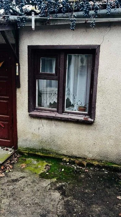 Дом под ремнт на 1 Заставе, 389678