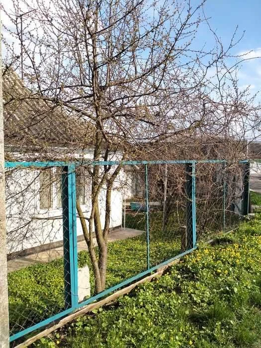 Продаж окремого будинку на Половках