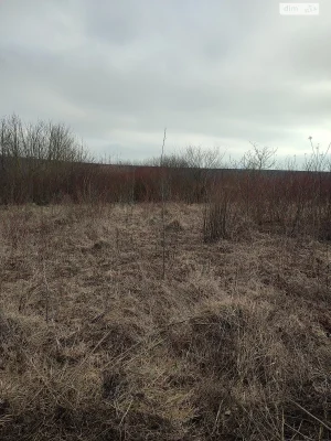 Продаж Ділянка під житлову забудову Ракове
