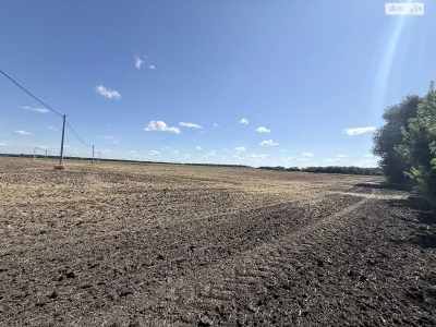 Продаж Земля комерційного призначення Тяжилів