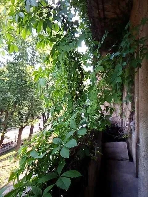 Продаж 4 кім.квартира  БУДИНОК ФІНКЛЕРА! 117 м² вул .Степана