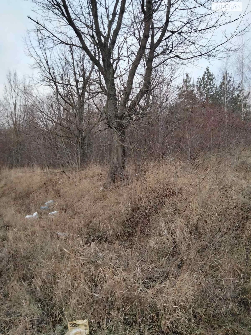 Agricultural land for sale