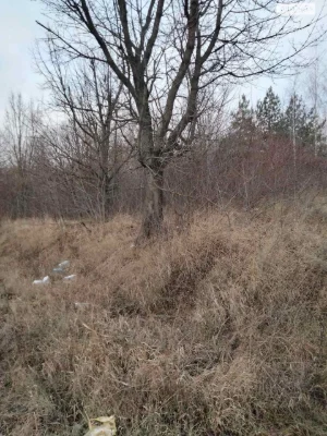 Agricultural land for sale