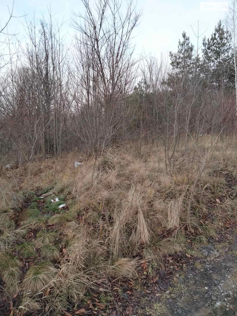 Agricultural land for sale