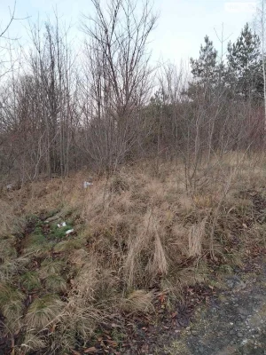 Agricultural land for sale