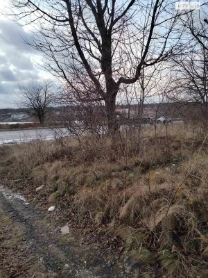 Agricultural land for sale