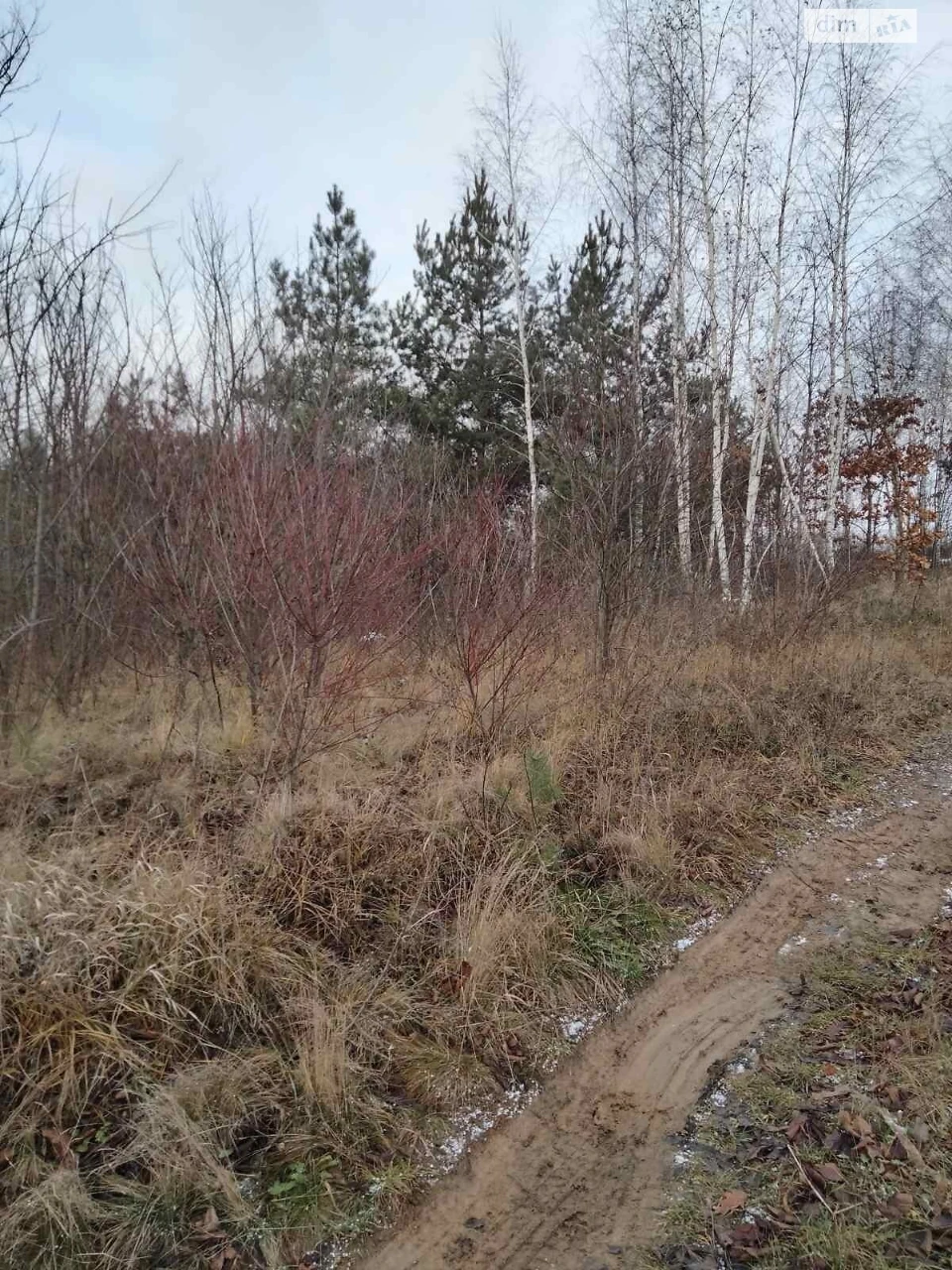 Agricultural land for sale
