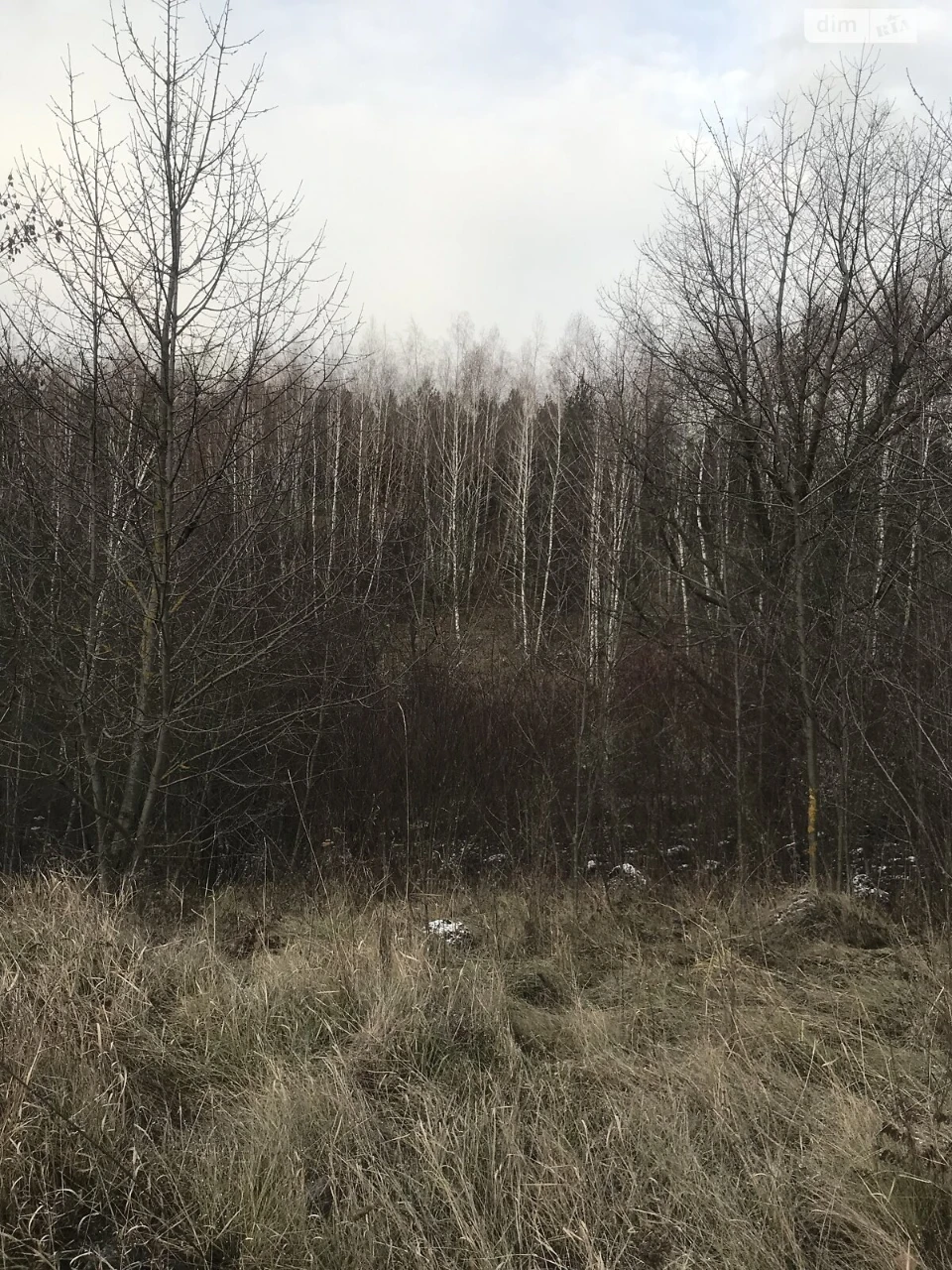 Agricultural land for sale