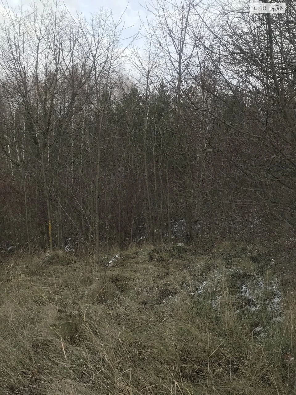 Agricultural land for sale