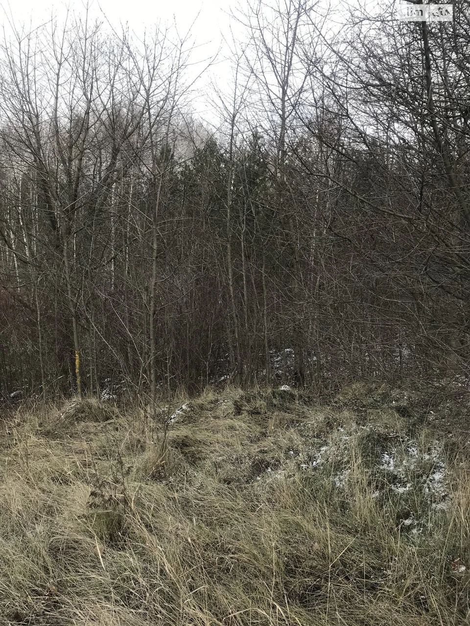 Agricultural land for sale