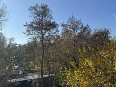 Центр! Продам квартиру с видом на парк. ЖК "Лидерсовский".