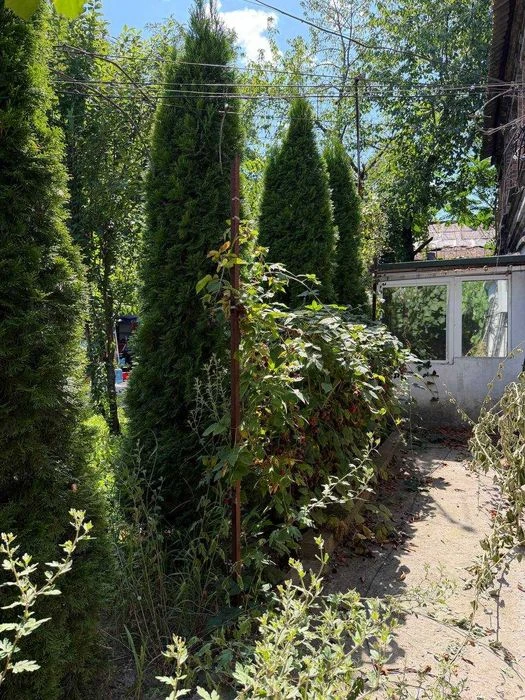 Buy an apartment with a private yard and parking in the center