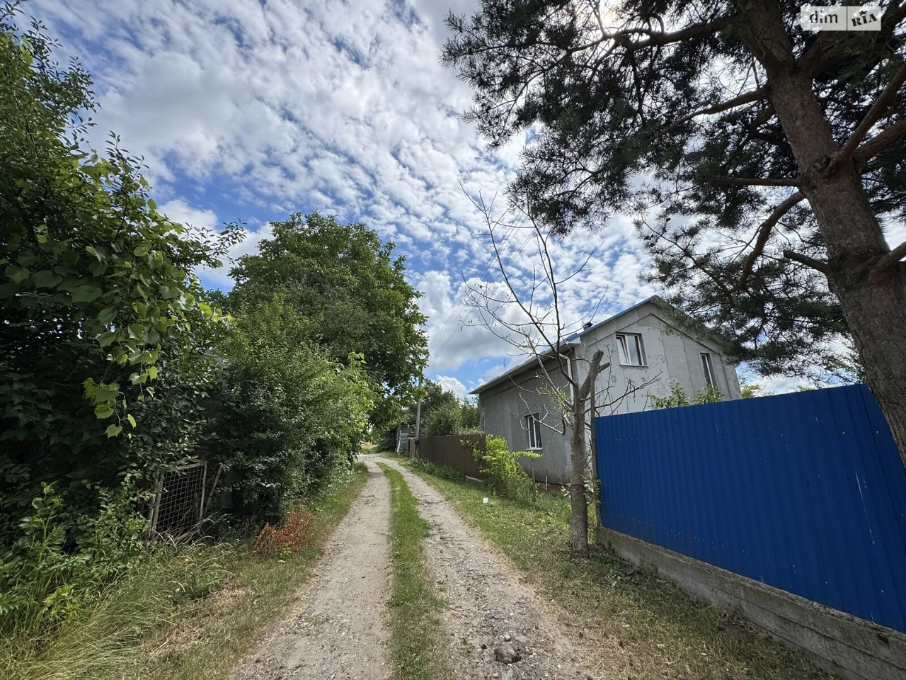 Продаж Земля сільськогосподарського призначення Книжківці