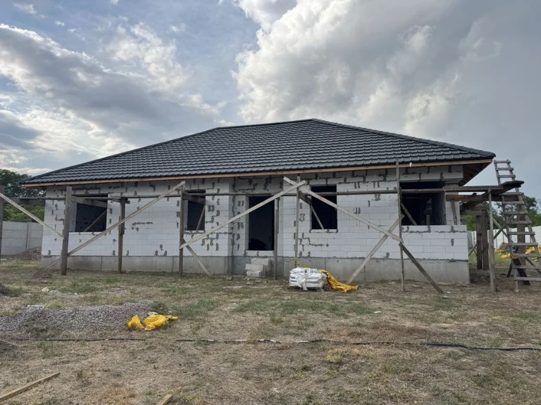I will sell a house near Borodinsky