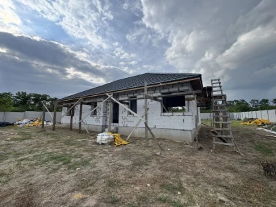 I will sell a house near Borodinsky