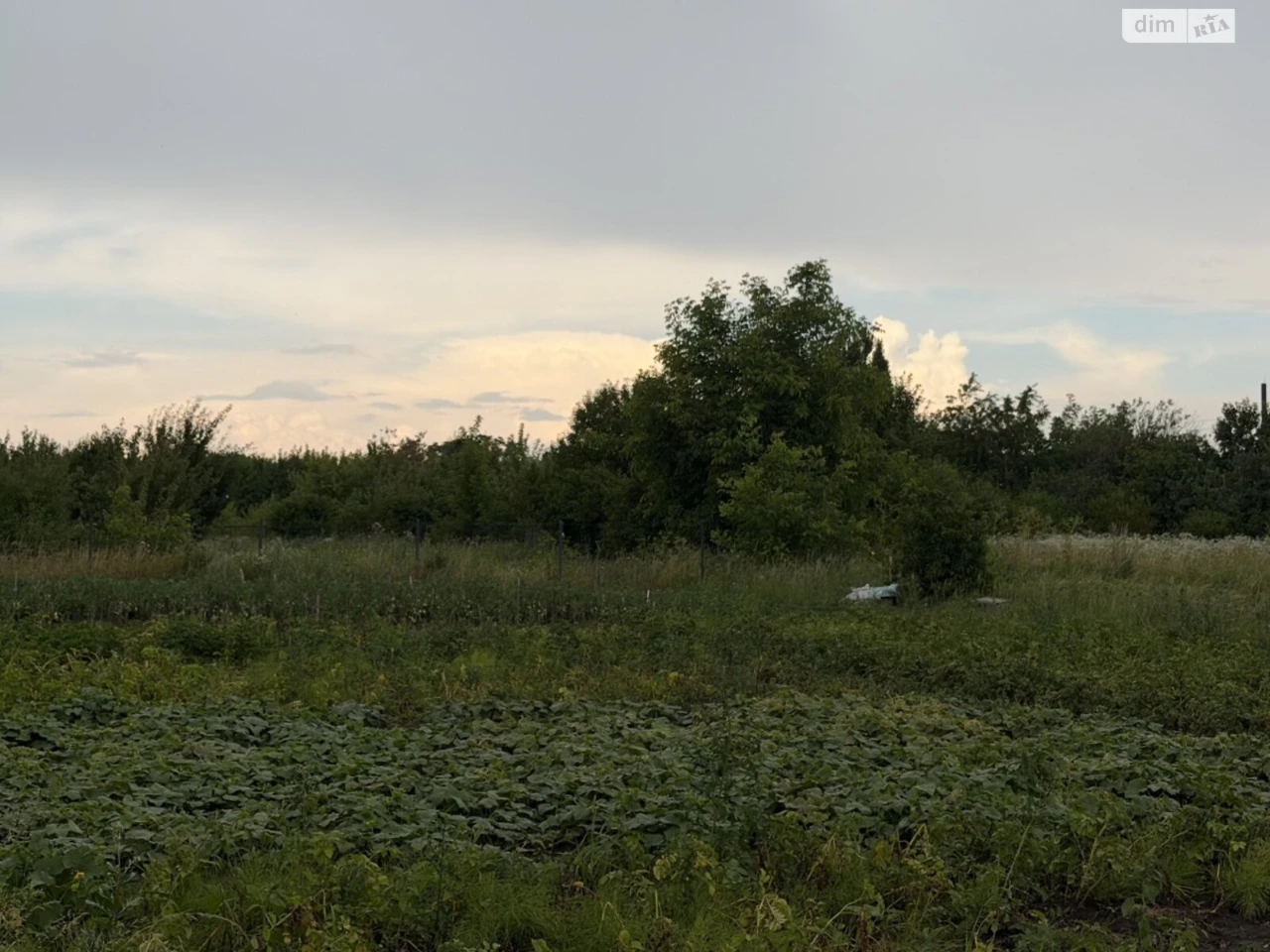 Продаж Ділянка під житлову забудову Замостянський