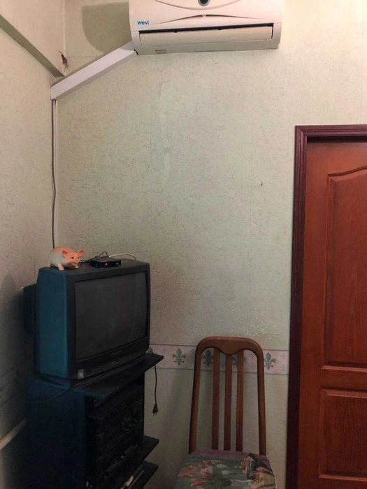 Продажа одноэтажного дома на улице Левитана.