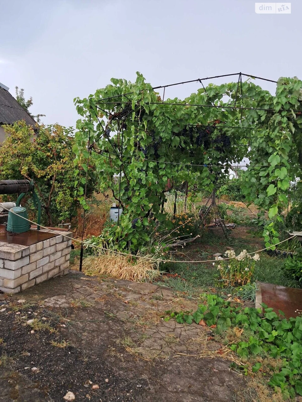Продаж Дім